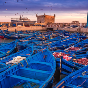 Excursion Marrakech Essaouira : découvrez la cité des Alizés